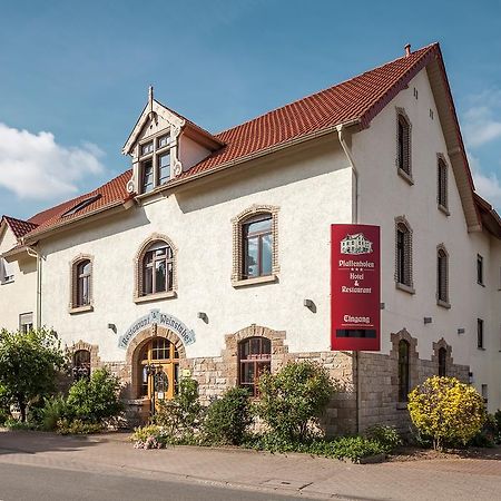 Hotel Pfaffenhofen Schwabenheim an der Selz Экстерьер фото