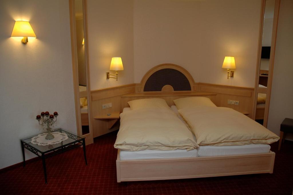 Hotel Pfaffenhofen Schwabenheim an der Selz Номер фото